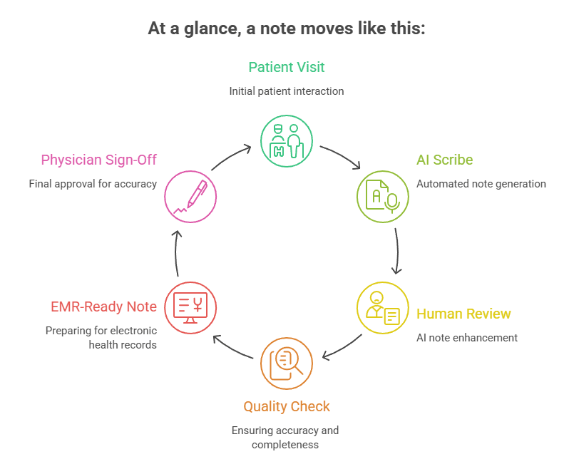 how amplif ai works